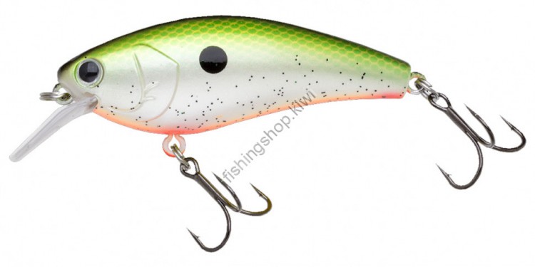 NORIES Complete Square 70 US GREEN SHAD