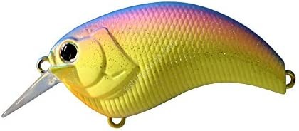 DEPS Evoke 2.0 #09 Rainbow
