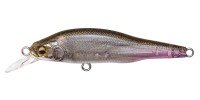 MEGABASS X-80 Jr. #FA Ghost Wakasagi