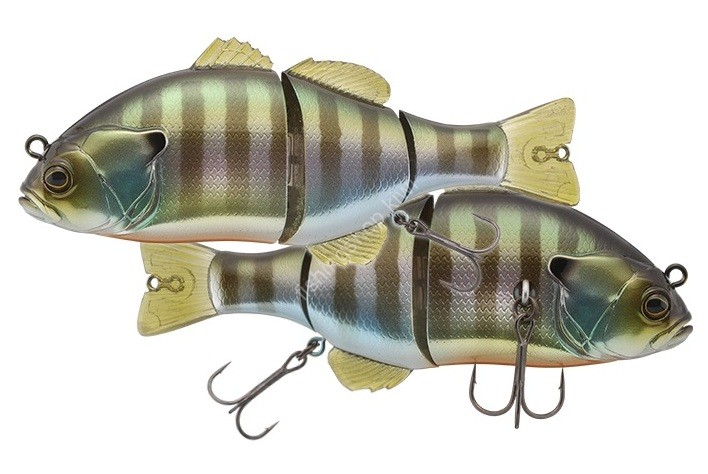 JACKALL Chibitarel Dead Rise #HL Blue Gill