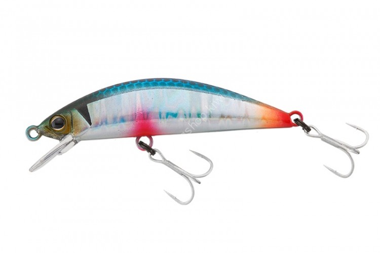 TIMON Tricoroll 47HW # Ecchu Yukishiro Blue Back