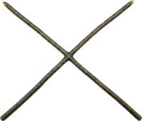 REINS Cross Swamp Skinny #001 Watermelon Seed