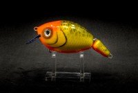 CALYPSO 2AC10GEXBR OK