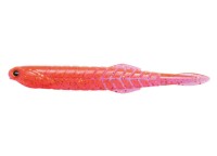 ISSEI Kaitaro Katakuchi Worm 4.5 #057 岩鱼橙 (6pcs)