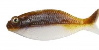 DSTYLE Gilluula 3.5" #Green Pumpkin Fish