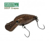 Forest Deep Crapie 06