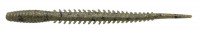 ECOGEAR Aqua Live Aji Straight 2.3 #J16