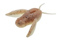 NORIES Clione X 2" #CX08 Yama Aka (3pcs)