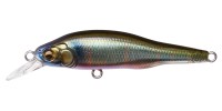 MEGABASS X-80 Jr. #FA Oikawa (M)