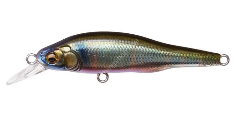 MEGABASS X-80 Jr. #FA Oikawa (M)