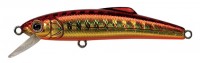 TACKLE HOUSE Buffet SD55 # 13 Gold Red / Orange Belly