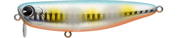 IMA Molmo 80F 12g #MO80-020 Bora Glow