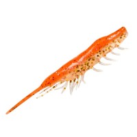 MAGBITE MBW06 Snatch Bite Shrimp 2.5 inches 09 Orange Gold Shrimp