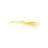 STORM 360 GT Tea Shrimp 8 pCSPU03-GDG