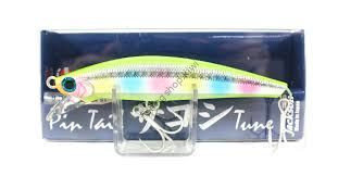JACKSON Pin Tail Sagoshi tune 28g CCN chart CND