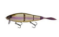 OTHER BRANDS GALAPAGOS Grace 210L #18 Biwako SPEC-V