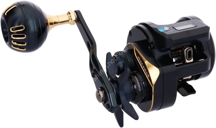 DAIWA 25Saltiga IC 300-C