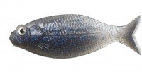 DSTYLE Gilluula 3.5" #Yowasu-Gill