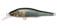 MEGABASS X-80 Jr. #FA Kisyu Ayu