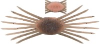 JACKALL DriftCrab mini #Cinnamon Dappy Shrimp