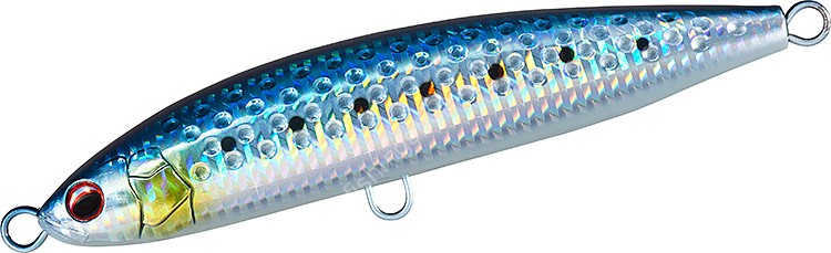 DAIWA Shore Spartan Rough Ride 160F # Maiwashi