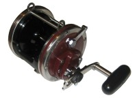 PENN Special Senator 114H2