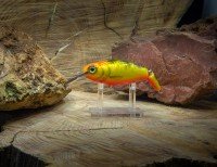 CALYPSO 2AC10GR 1.8m OK