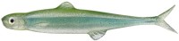 EVERGREEN Last Ace 75 #156 Reservoir Fly