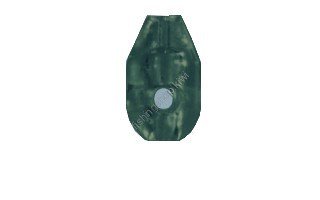 GAMAKATSU Center Beads [Deep Green] S #1 Box