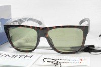 SMITH Lowdown 2 Tortoise Frame #X-Light Green 37 (POLARX)