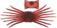 JACKALL DriftCrab mini #Sawagani