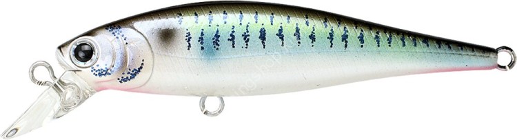 LUCKY CRAFT Pointer 65SP #Live Threadfin Shad