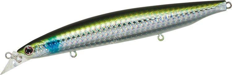 DAIWA Shore Line Shiner R 120F # 3D Inakko