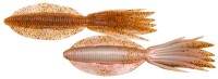 ECOGEAR Power Squid 7'' #424 Brown Ika (Yako)