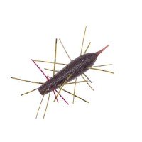 GEECRACK Imokemushi 40F #365 Zaribug