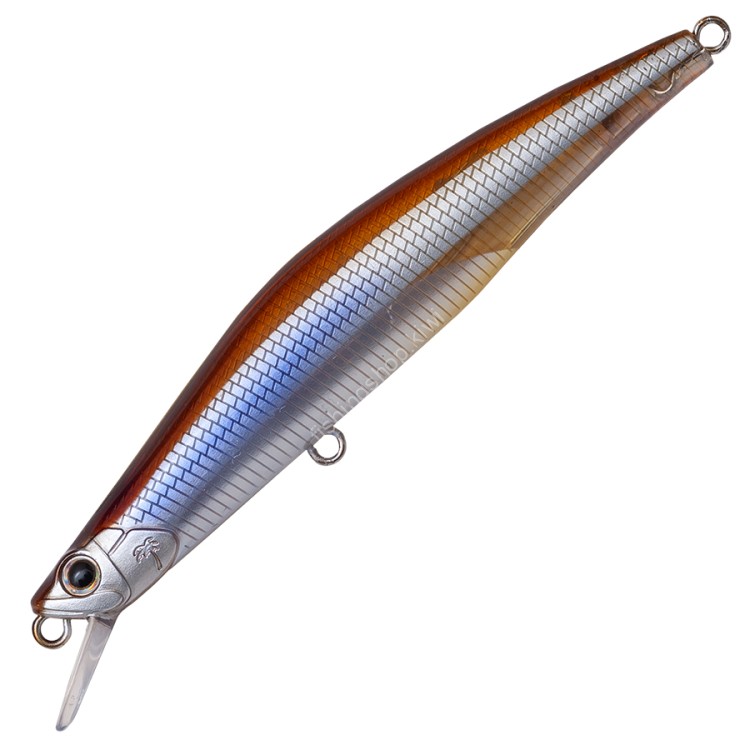 ANGLERS REPUBLIC Flesh Back 80SP #TR-271 Brown Wakasagi