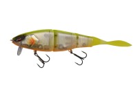 OTHER BRANDS GALAPAGOS Grace 210L #24 Metal Omura Isu