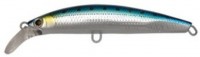 JACKSON Pintail EZ 28g #CIW Iwashi