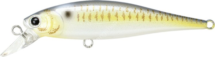LUCKY CRAFT Pointer 65SP #Gold Threadfin Shad
