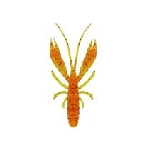 RUDIE'S Hata Kui・Ebi 3.5" #Pine Orange
