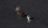 VANFOOK Tenkara Master Kujaku TM-12 #18