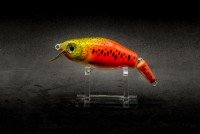 CALYPSO 2AC10GR CNRL