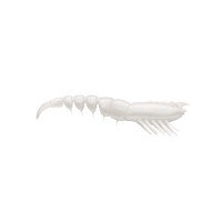 STORM 360 GT Tea Shrimp 8 pCSPU03-PRL