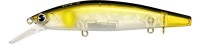IMA Homare MD 100F #HMMD100-008 Clear Ayu