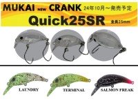 MUKAI Quick25SR (HFWG) #Laundry