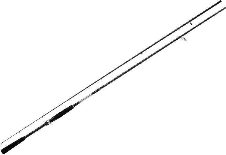 DAIWA Seabass Flat X 100M