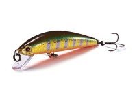 JACKSON Athlete 55S FH #SKY 金色 Amberjack