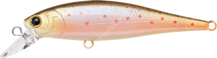 LUCKY CRAFT Pointer 65SP #Brown Trout