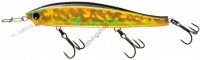 DUEL Hardcore Minnow Flat 110SP110 06 HGS