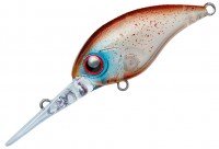 CORMORAN AquaWave Miyabis 45DR #A127A Hotaru Ika